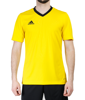 T-Shirt Adidas Entrada 22 HI2122